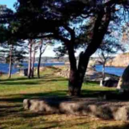 Idyllisk Lite Anneks Med Enestaende Uteplass Larvik Dış mekan fotoğraf